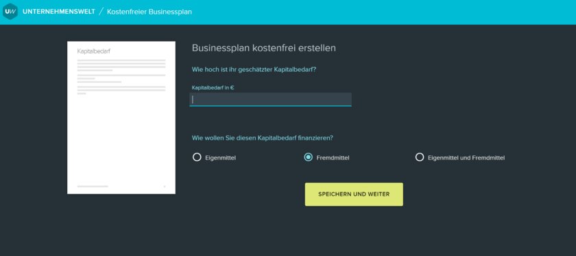 Detail einer Eingabemaske zum Businessplan Tool von Unternehmenswelt.