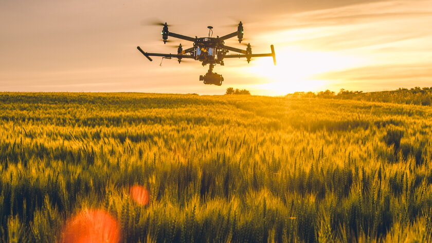 Bild Drohne Eine Drohne fliegt ueber ein Getreidefeld zur Sommerzeit.