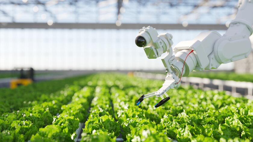 Hydroponische Roboterlandwirtschaft mit KI, welche Wachstumsprozess von Salat kontrolliert